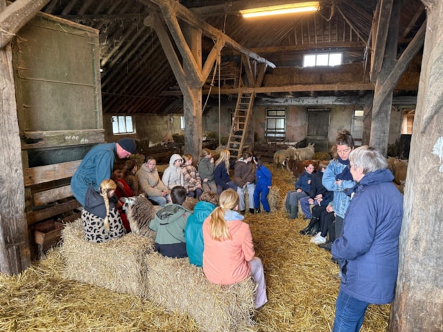 aeddb446-2e72-430c-8612-078d4712b334