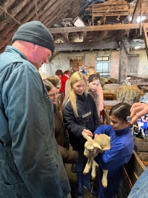 8cc50c2b-9545-443c-b93b-eba143f4a5bf